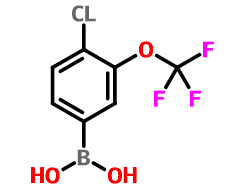 Boronic acid, B-[4-chloro-3-(trifluoromethoxy)phenyl]|902757