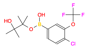 4-Chloro-3-(trifluoromethoxy)phenylboronic acid pinacol este