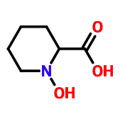 2-Piperidinecarboxylicacid,1-hydroxy-(9CI)｜115819-92-6
